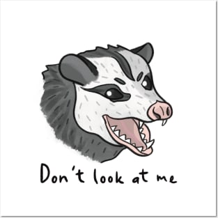 Don't Look at Me Posters and Art